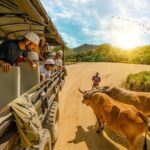 ATV, 4 Wheeler or Buggie Truck Tour in Punta Cana and Macao - Practical Tips for Your Adventure