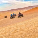 ATV Adventure Ballestas Island and Paracas National Reserve - Exploring Ballestas Islands and Paracas National Reserve: What to Expect