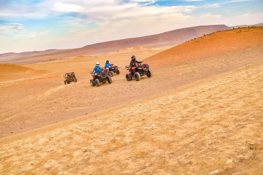 ATV Adventure Ballestas Island and Paracas National Reserve - Exploring Ballestas Islands and Paracas National Reserve: What to Expect