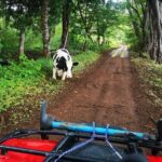 ATV adventure from Riu, Secrets and papagayo - Who Should Consider This Tour?