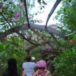 ATV Adventures and Ricks Cafe combo - Dive Into the Details of the ATV Adventures and Ricks Cafe Tour