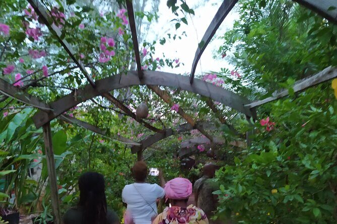 ATV Adventures and Ricks Cafe combo - Dive Into the Details of the ATV Adventures and Ricks Cafe Tour