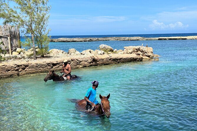 ATV and Horseback Ride n Swim Adventure Tour In Montego Bay - FAQ