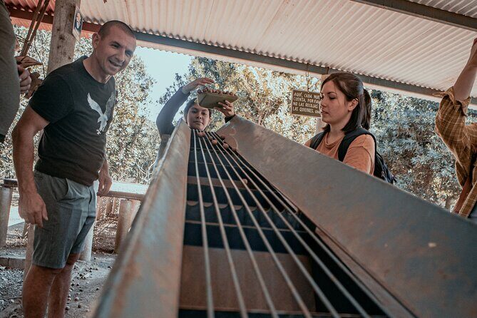 ATV Cultural & Adventure Tour: Shared Antigua Villages Experience - Practical Details and Value