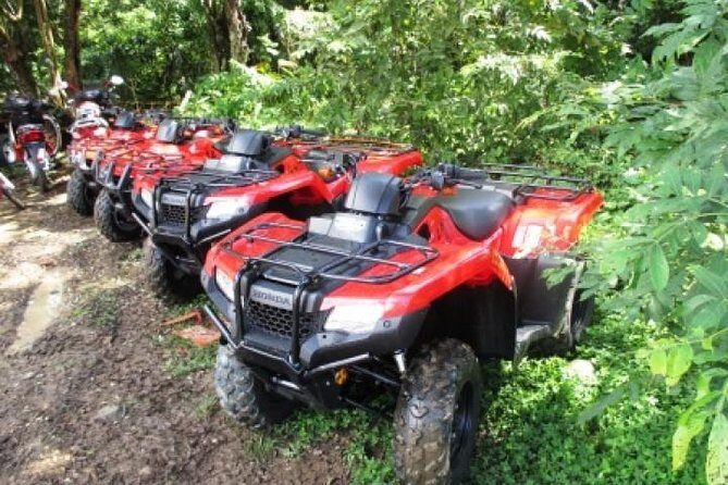 ATV - El Valle Beach & Waterfalls (Samana Area), Private Tour - Authenticity and Value