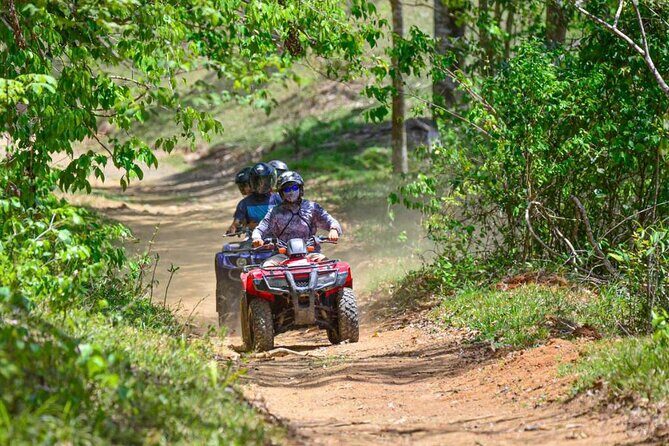 ATV River, Beach, Jungle Adventure and Crocodiles Hotspot from San Jose - Who Should Consider This Tour?