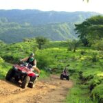 ATV Tour Jobo - An In-Depth Look at ATV Tour Jobo