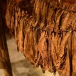 Aurora Premium Sensory Tasting Pairing, and Fine Cigar Experience - FAQs