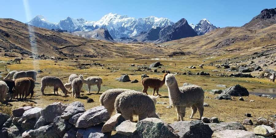 Ausangate Trek - Detailed Review of the Ausangate Trek Experience