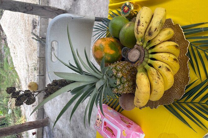 Authentic Jamaican Food Cooking Experience in the Countryside - Who Will Love This Tour?