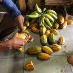 Authentic Limón: Downtown Walking Experience - The Bottom Line