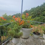 Authentic Trinidadian Cooking Class in Port of Spain - The Setting and Atmosphere