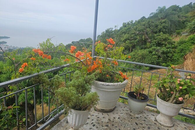 Authentic Trinidadian Cooking Class in Port of Spain - The Setting and Atmosphere