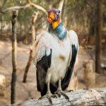 Aviario Nacional Including Playa Blanca Shared Tour - Who Is This Tour Best Suited For?