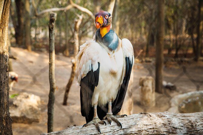 Aviario Nacional Including Playa Blanca Shared Tour - Who Is This Tour Best Suited For?