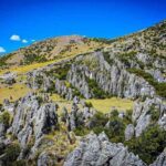 Ayacucho: Huaraca | Explore the Enigmatic Stone Grove - A Deep Dive into the Experience