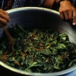 Ayahuasca ceremony in Iquitos - FAQs