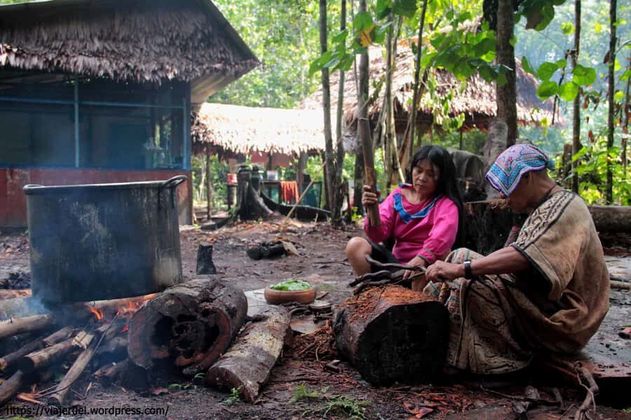 Ayahuasca  Iquitos | Purification, Learning and Healing - Who Would Benefit Most?