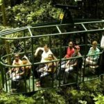 Babonneau/Castries: Rainforest Zip Line, Tram, and Hike Tour - Final Thoughts: Who Will Love This Tour?
