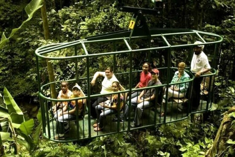 Babonneau/Castries: Rainforest Zip Line, Tram, and Hike Tour - Final Thoughts: Who Will Love This Tour?