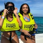 Bahamas Adventure: Pigs, Reef, Turtles, and Beach with Lunch - The Iconic Gilligans Island and Turtle Encounters