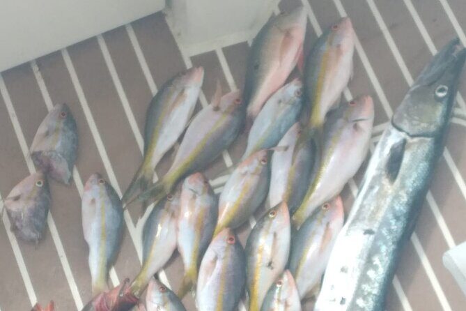 Bahamas Deep Sea Fishing - Frequently Asked Questions