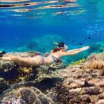 Bahamas Island Private Hopping Adventure - Final Thoughts: Is This the Right Tour for You?