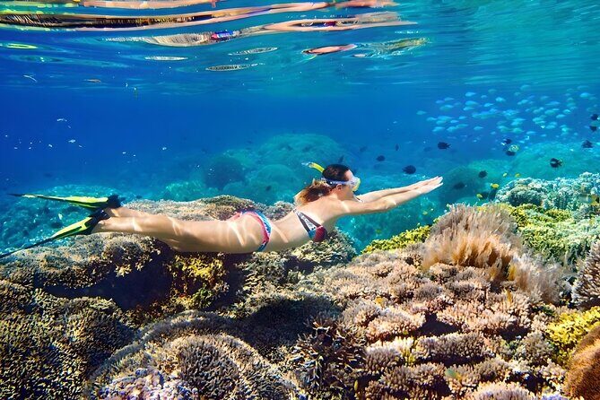 Bahamas Island Private Hopping Adventure - Final Thoughts: Is This the Right Tour for You?