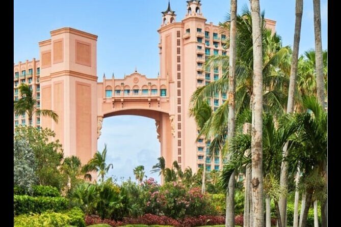 Bahamas Private Minivan Transport - Comfort and Convenience: The Vehicle and Extras