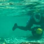 Bahamas Sea Scooter Snorkeling Adventure - Final Thoughts: Is It Worth It?