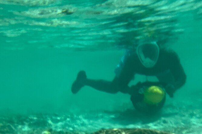 Bahamas Sea Scooter Snorkeling Adventure - Final Thoughts: Is It Worth It?