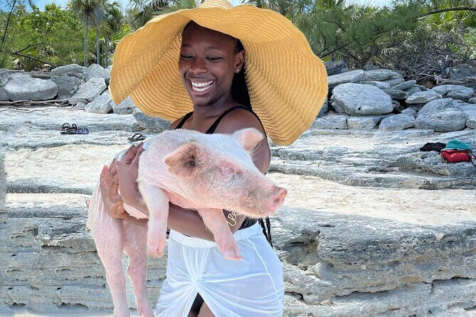 Bahamas Swimming Pigs Experience on Rose Island - Real Traveler Perspectives