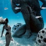 Bahamian Experience Private Beach Getaway - Who Is This Tour Best Suited For?