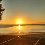 Bahia By Night: Dinner and Folkloric show - Itinerary Breakdown