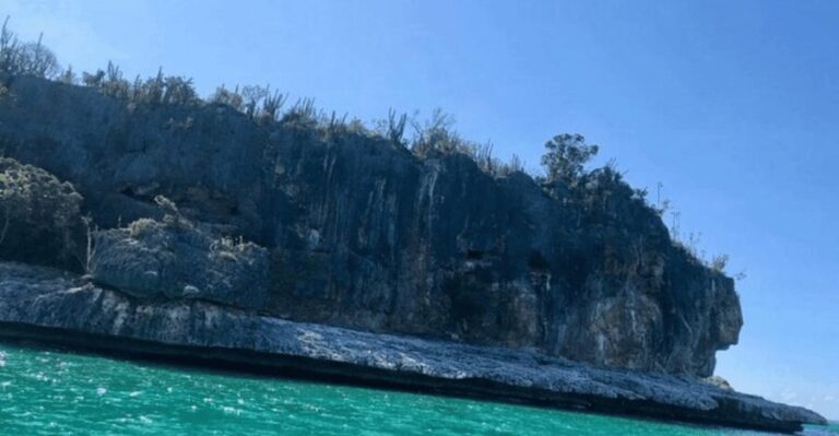 Bahía de las águilas glamping experience from Santo Domingo - What Makes This Tour Stand Out?