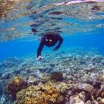 Bahia Principe Fantasia - Round Trip Shuttle - Punta Cana Airport - Final Thoughts: Who Is This Transfer Best For?