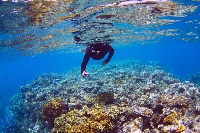 Bahia Principe Fantasia - Round Trip Shuttle - Punta Cana Airport - Final Thoughts: Who Is This Transfer Best For?