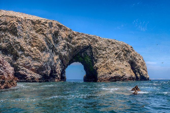 Ballestas Islands and Paracas Reserve from San Martin Port - Final Verdict