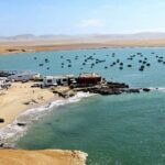 Ballestas Islands and Paracas Reserve Tour from Puerto San Martin - The True Value of the Tour