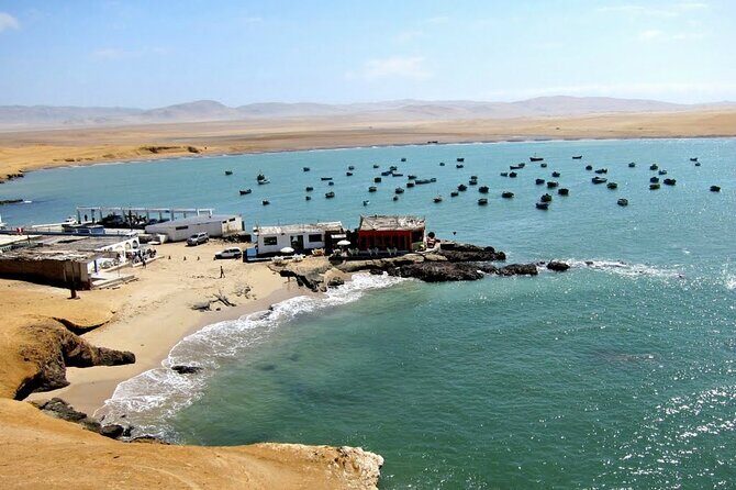 Ballestas Islands and Paracas Reserve Tour from Puerto San Martin - The True Value of the Tour