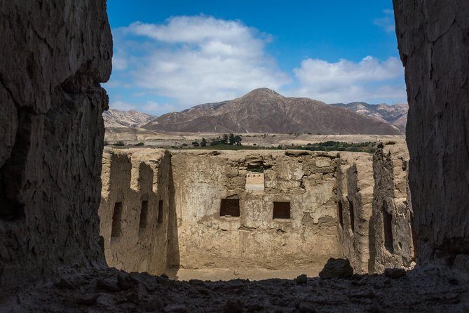 Ballestas Islands and Tambo Colorado from San Martin Port - Who Should Consider This Tour?