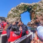 Ballestas Islands Boat Tour in Paracas - A Deep Dive into the Ballestas Islands Experience