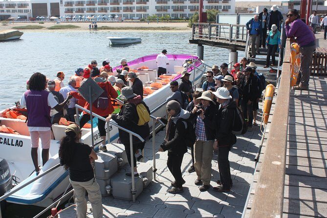 Ballestas Islands for Cruise Ship Passenger Paracas Harbour - Who Will Enjoy This Tour?
