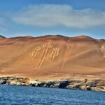 Ballestas Islands Group Tour from San Martin Port - Price and Value Analysis