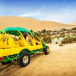 Ballestas Islands & Huacachina Oasis from Lima - Private Trip - Practical Tips for Travelers
