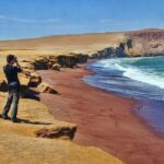 Ballestas Islands & National Reserve of Paracas from Ica - What the Reviews Say