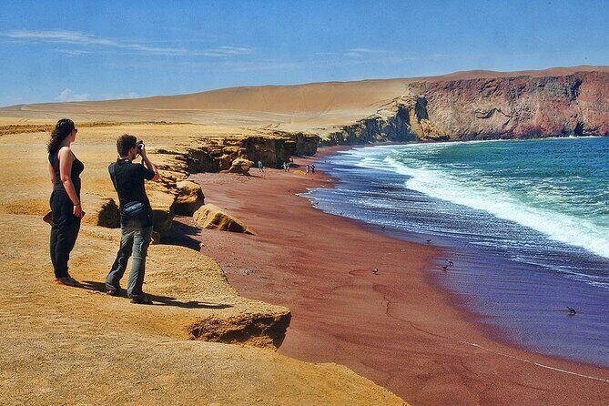 Ballestas Islands & National Reserve of Paracas from Ica - What the Reviews Say