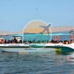 Ballestas Islands Tour for passengers of the Puerto San Martin Cruise - Final Thoughts