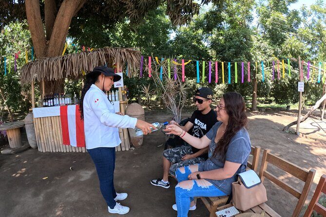 Ballestas Islands, Vineyards and Buggies in Huacachina from Paracas - Transportation and Group Size