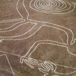 Ballestas, Paracas, Nazca Lines & Huacachina - 2 Days Experience - Logistics, Value, and Overall Experience